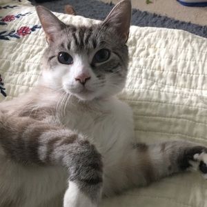 Meet your Posher, Amanda